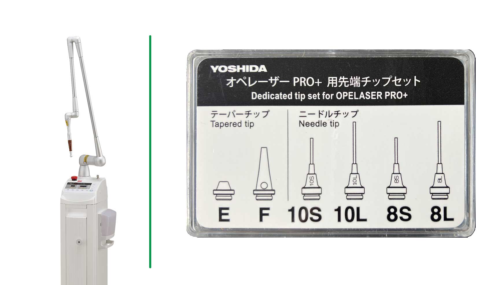 標準チップセット(6本入)