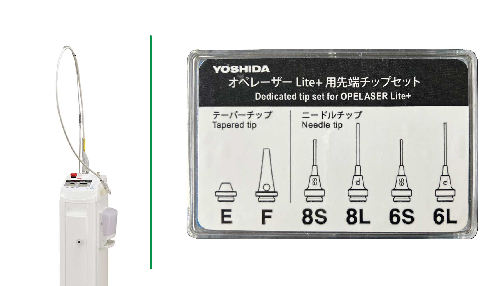 標準チップセット(6本入)